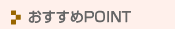 ��������POINT