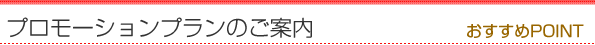 �v�����[�V�����v�����̂��ē�����������POINT��
