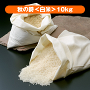 近江米 秋の詩 ＜白米＞ 【24年産】 10kg