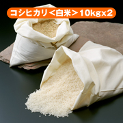 近江米 コシヒカリ ＜白米＞ 【24年産】 10kg x 2