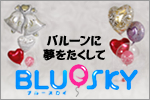 �o���[���l�b�g�V���b�v�@BLUESKY