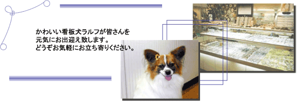 �Ŕ������t