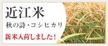 近江米＜秋の詩・コシヒカリ＞新米入荷しました！